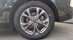 Rabljeno vozilo Ford Kuga 2.0 Ecoblue Automatic mHEV ST-line X, Diesel